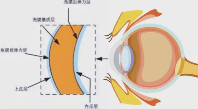 为啥总是反复发作难以摆脱？凯时尊龙干眼症“魔咒”：(图2)